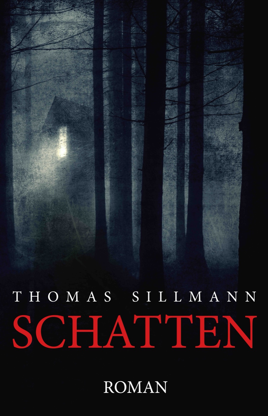 Originalcover des Romans Schatten